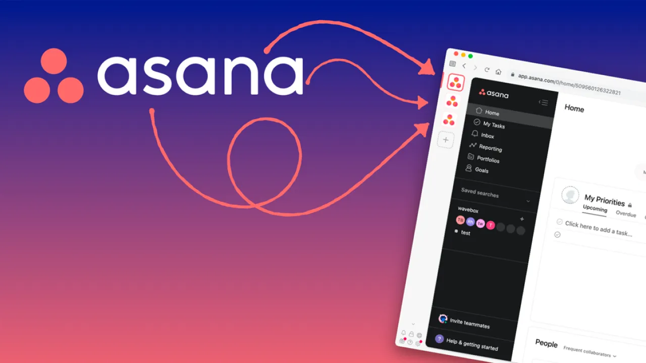 Asana Ai